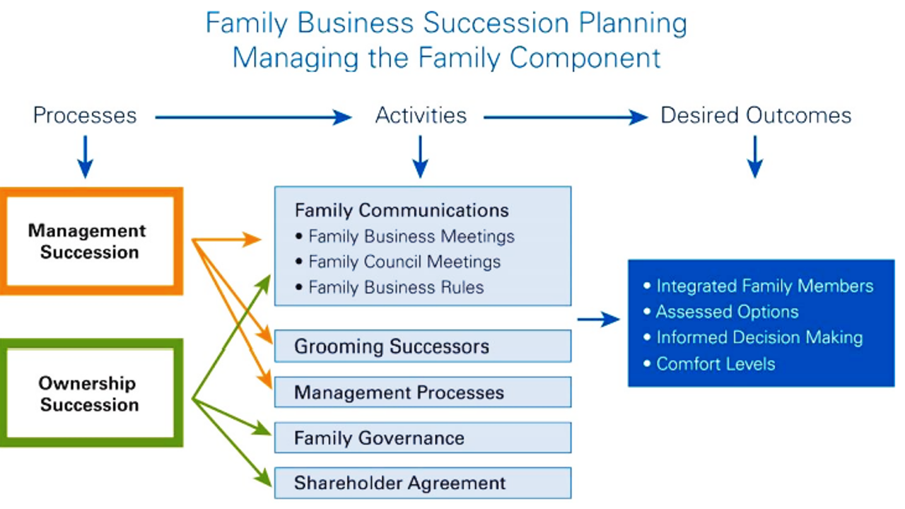Business succession family business transfer